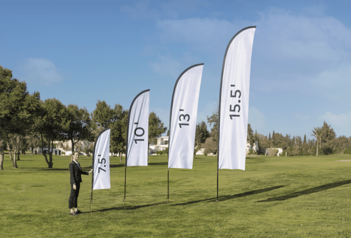 Flag - Image 4